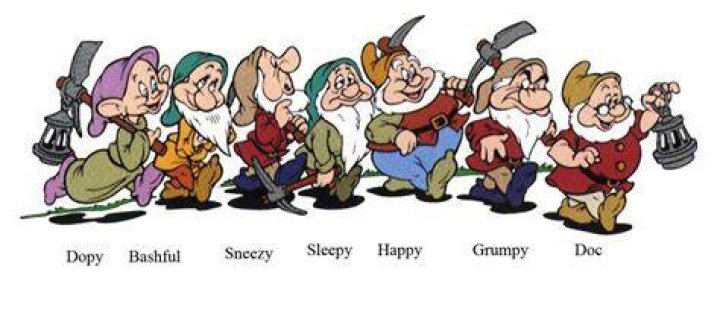 Are the 7 Dwarfs brothers?