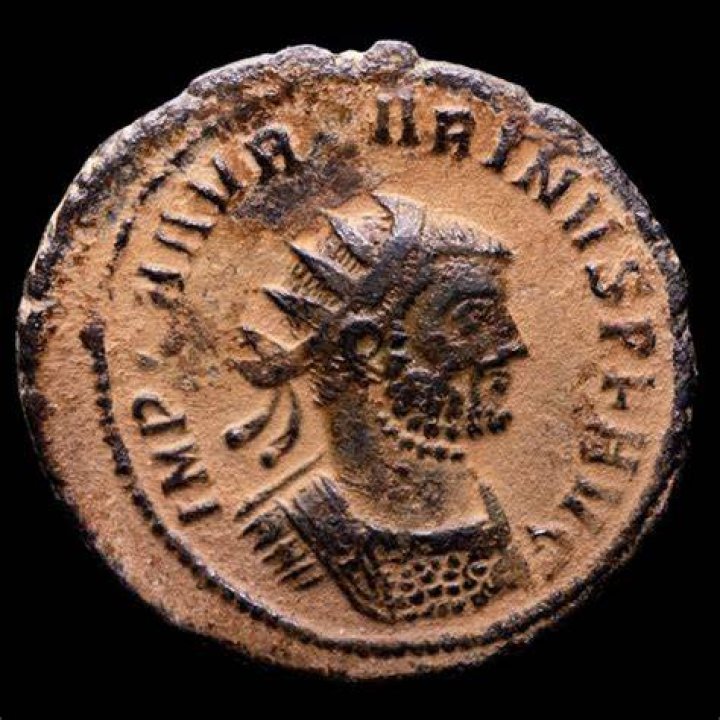 Carinus Carinus