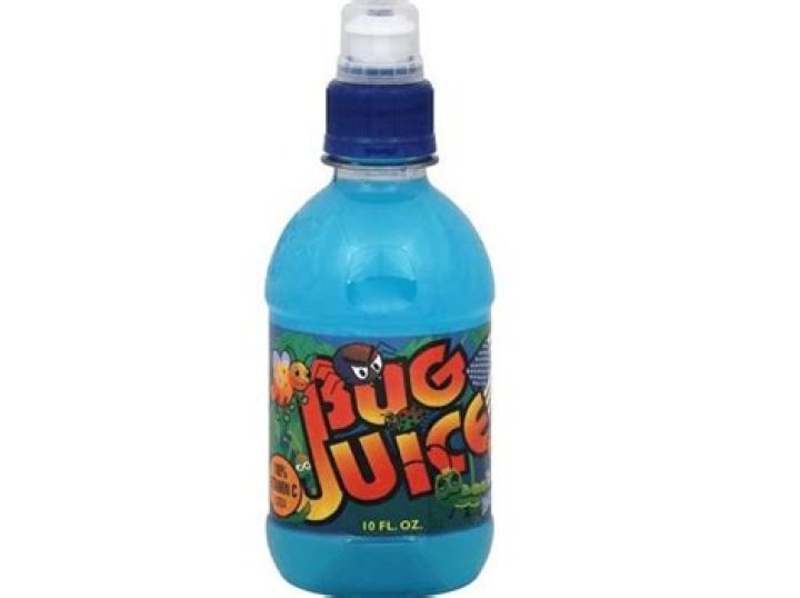 Did Bug Juice Get Cancelled? – Celebrity