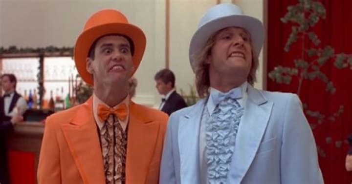 dumb-and-dumber