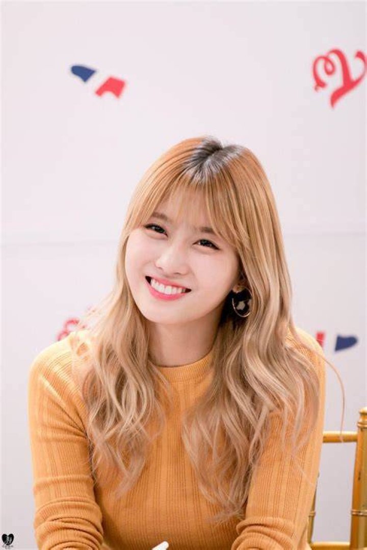 Hirai Momo Hirai Momo