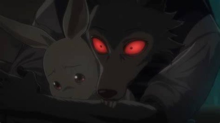 Legoshi attacks Haru