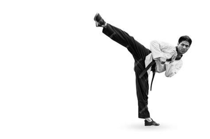 Mokap doing a high kick