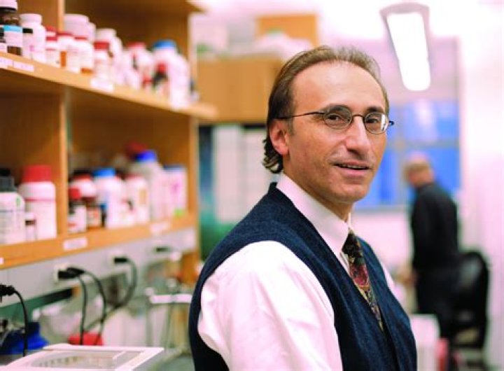 New Method of Creating Blood Vessel Cells to Repair Injured Tissues