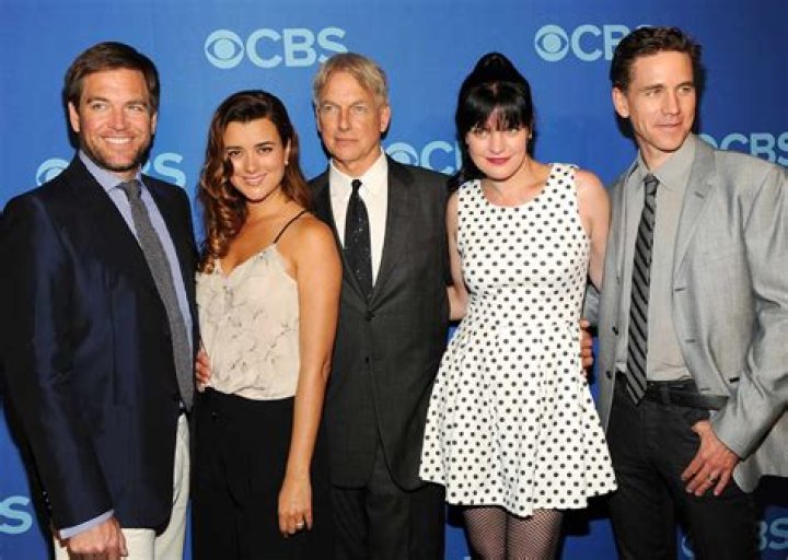 The cast of 'Jackass 3.5'