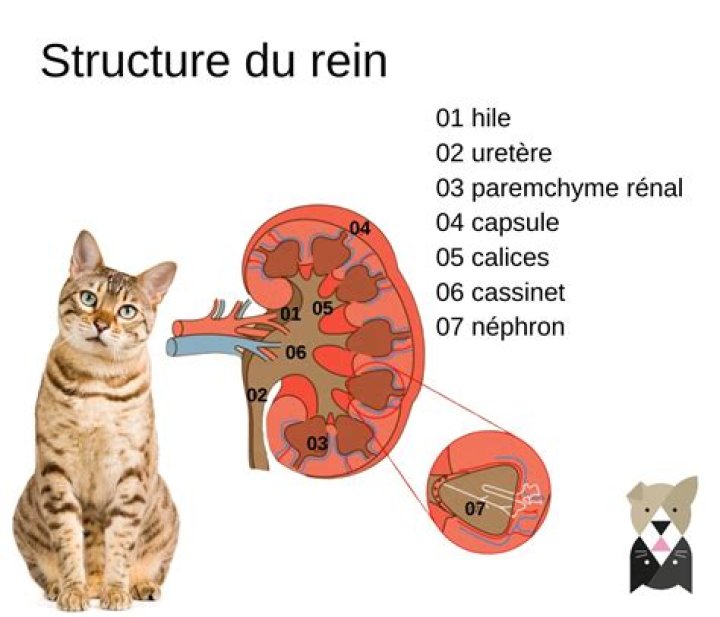 Thérèse Rein Thérèse Rein