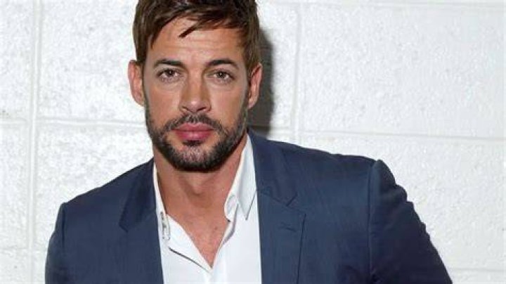 William Levy Net Worth